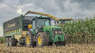 Kukurydza 2022 na kiszonkę z mega ekipą 🌽 Agromix Rojęczyn ✔️Gh Kossowski