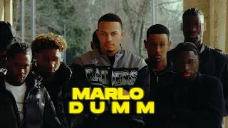 Marlo - Dumm (Prod. Vogue)