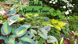 🍀July Shade Garden Tour // zone 4b Minnesota // hostas, brunera, ferns, heucheras + 🌿