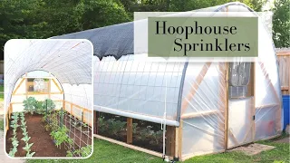 Hoophouse Sprinklers || Easy Overhead Irrigation || How we Did it!