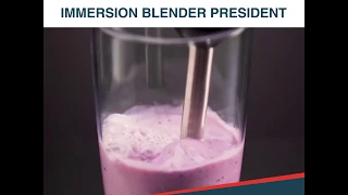 IMMERSION BLENDER PRESIDENT TESCOMA