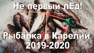 ЗИМНЯЯ РЫБАЛКА НА МОРМЫШКУ 2019-2020. Рыбалка в Карелии на озере Машезеро.