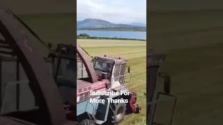 fiat 1190 menglie silage harvester old school silage day