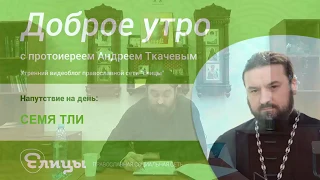 Семя тли. Протоиерей Андрей Ткачев