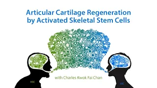 Articular Cartilage Regeneration by Activated Skeletal Stem Cells