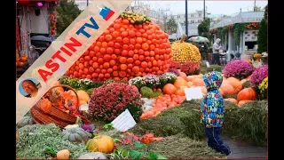 Московские сезоны. Золотая осень. Фестиваль в Москве!