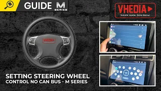 Setting Steering Wheel Control No Can Bus - M Series