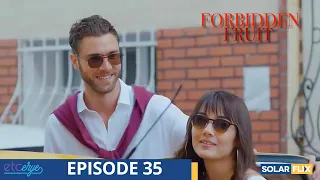 Forbidden Fruit Episode 35 | Season 1 Finale | FULL EPISODE | TAGALOG DUB | Turkish Drama