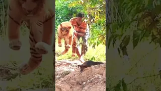 Toy tiger sleeping 😴 dog reaction waiting for and 😱 #funny #dogprank#comedy  #faketigerprank#comedy