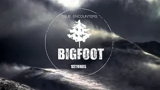 Unexpected Bigfoot Encounters