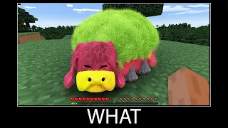 Minecraft wait what meme part 168 realistic minecraft Sniffer