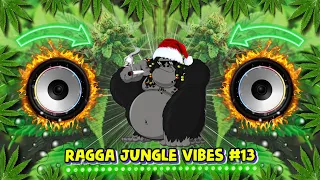 Ragga Jungle Drum & Bass Vibes #13 (Reggae DnB Mix)