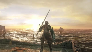 All 20 Gestures in Dark Souls 2 Scholar of the First Sin