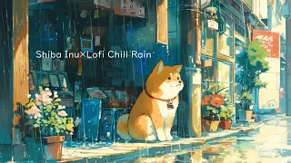 【Lofi】Healing music of rain sound to listen to when you want to rest your mind. with Shiba Inu