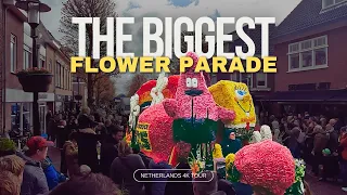 🔴 FLOWER PARADE Netherlands 2024  🌷 BLOEMENCORSO Bollenstreek |