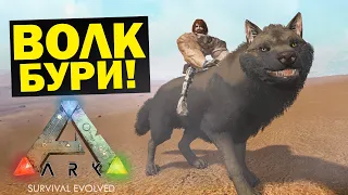 ARK -  ОПАСНОЕ ПРИРУЧЕНИЕ! ПЕРЕЖДАЛ ПЕСЧАНУЮ БУРЮ на АРК Scorched Earth ХАРДКОР! Серия #6