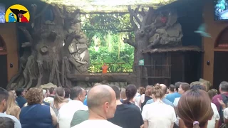 Loro Show - Loro Parque, Puerto de la Cruz, Tenerife, Best Birds/Parrots Show in Full Spanish