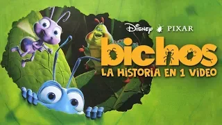 Bichos I La Historia en 1 Video