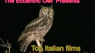 The Eccentric Owl 100th video!!! Top 100 Italian films