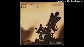 Kate Bush - Cloudbusting (The Organon Re-mix)