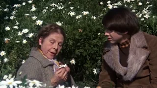 Harold and Maude - Film Analysis