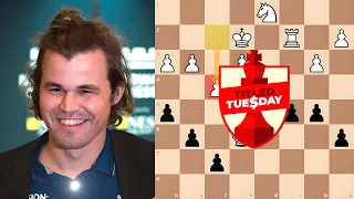 Magnus Carlsen meets a shark | Early Titled Tuesday