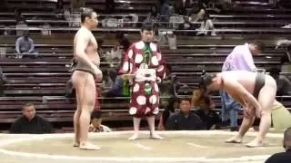 Kiribayama (1-0) - Kotodairyu (0-1) , Sumo : Natsubasho '16