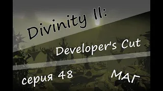 Divinity II: Developer's Cut: ФИНАЛ, серия 48