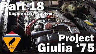 Engine Start Problem  - Alfa Romeo Nord 1300 Engine |  Restoration Project Alfa Giulia'75 - Part 18