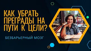 Как убрать преграды на пути к  цели? Безбарьерный мозг. Введение.