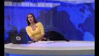 Perro irrumpe noticiario ruso