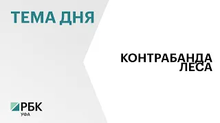 Житель Белорецка незаконно вывез 1,8 тыс. кубометров древесины за рубеж