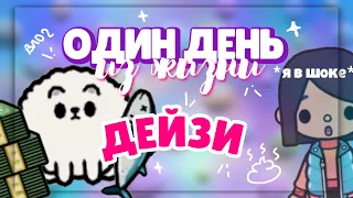 ♡ ОДИН ДЕНЬ ИЗ ЖИЗНИ ДЕЙЗИ 🐩 День моего питомца в toca life world // Dora Carter