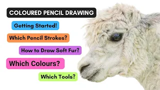 Coloured Pencil Drawing - Artist Beginner Tips for Getting Started #coloredpencildrawing