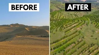 How China Turned the Desert into Green Forests | Digest The World