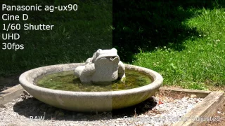 Panasonic AG UX90 4K Test Footage Japanese Garden