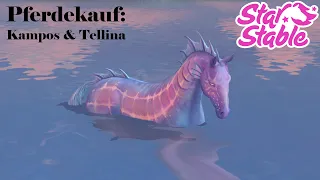 [SSO] Kampos & Tellina 🐟 Pferdekauf | Shoppen am Strand 🏝 & im Wolkenreich - Star Stable Online!