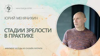 Стадии зрелости в практике. Юрий Менячихин