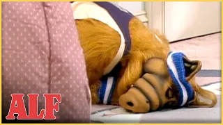 ALF Tries to Find a Hobby, What Will He Choose? | S4 Ep5 Clip