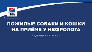 Вебинар на тему: “Пожилые собаки и кошки на приеме у нефролога”. Лектор - Надежда Крутицкая.