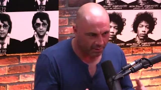 Joe Rogan & Sebastian Junger - Political Opinions are Genetically Determined?