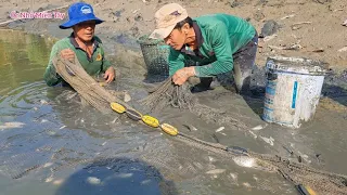 Phụ Bác Hai Rạn Ao Cá Để Trồng Bông Súng, Bắt Cá Ét Nướng Mọi Vài Ly Rượu Đế Cùng A.Em #ỐcNhỏMiềnTây