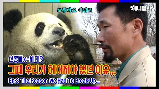 [신동물 x-세대 :그때 그 동물 ep.3] 1세대 판다ㅣ[Animals Back In The Day Ep. 3] 1st Generation Panda