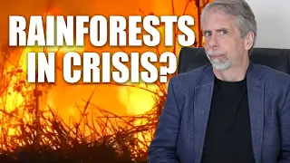 Rainforests in crisis! The Amazon in flames