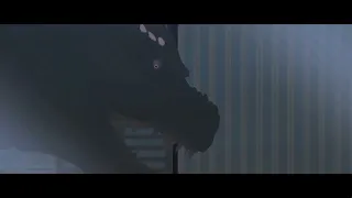 Godzilla vs Destoroyah (preview 9)