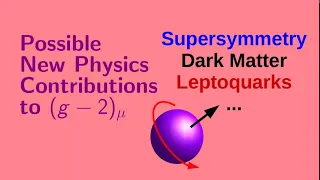Possible New Physics Contributions to Muon g-2