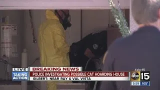 Police investigating possible cat hoarding house