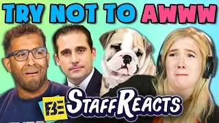 TRY NOT TO AWWW CHALLENGE #3 (ft. FBE Staff)