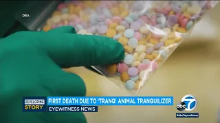First Bay Area death reported from street drug Tranq, intended for use as animal sedative