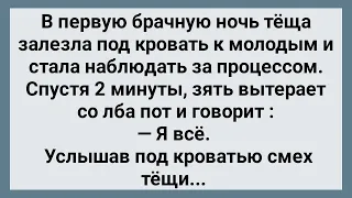 Теща Залезла Под Кровать к Молодым! Сборник Свежих Анекдотов! Юмор!